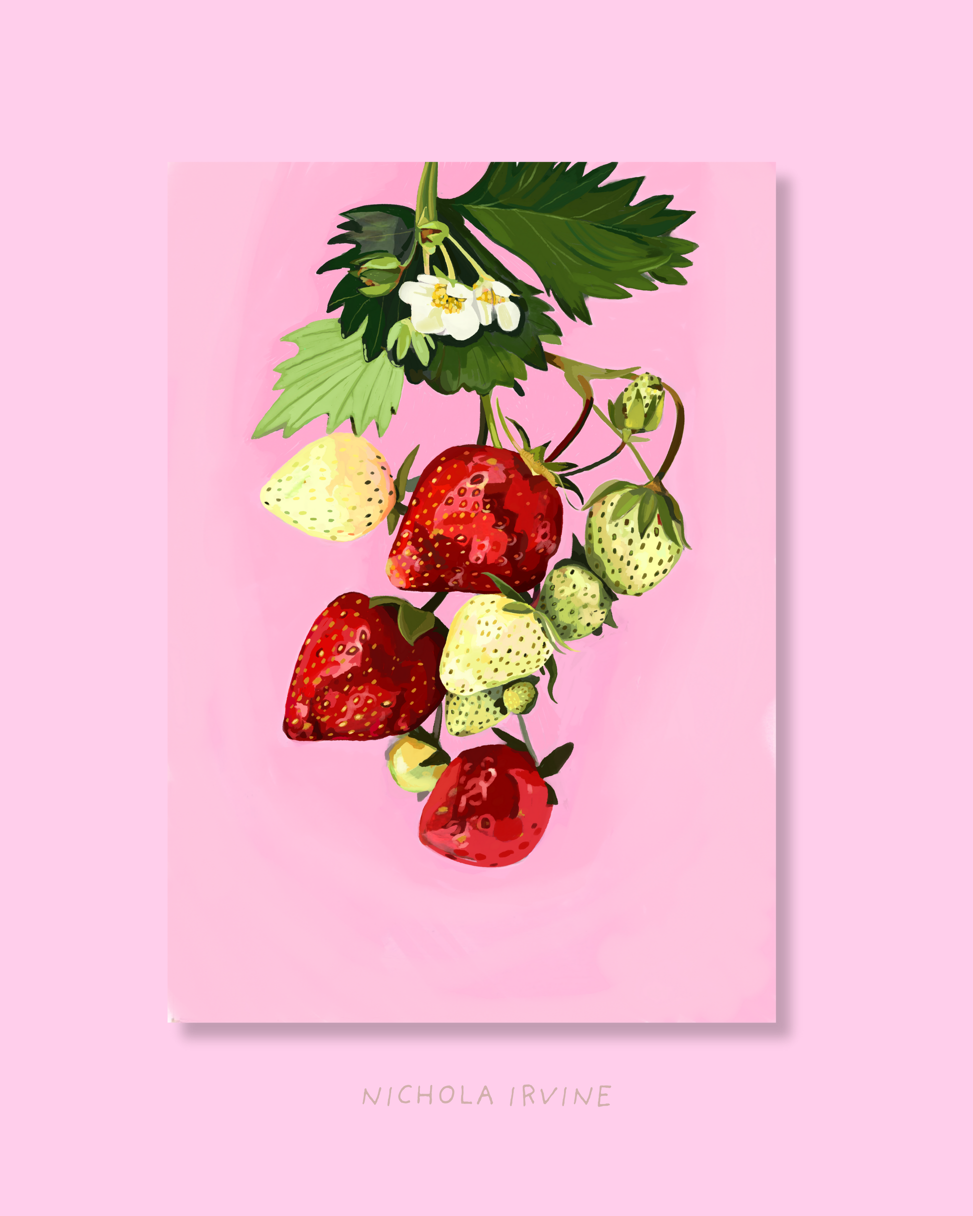 Strawberry Art Print