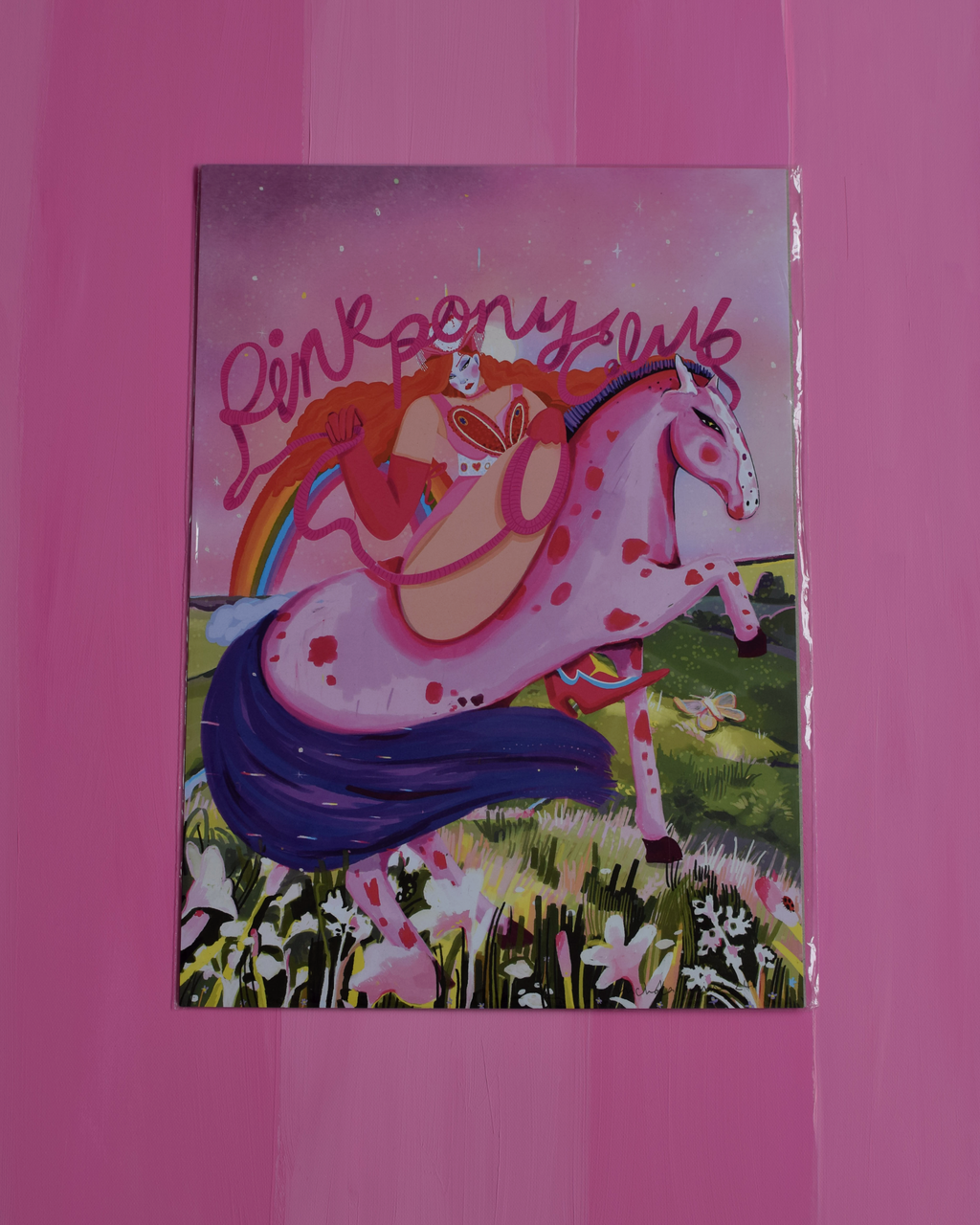 Pink Pony Art Print