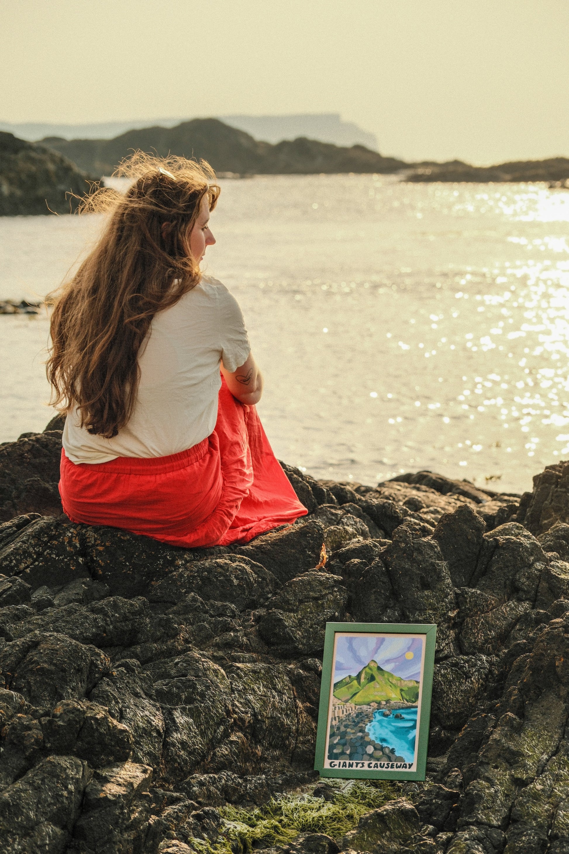 Giants Causeway Ireland Art Print