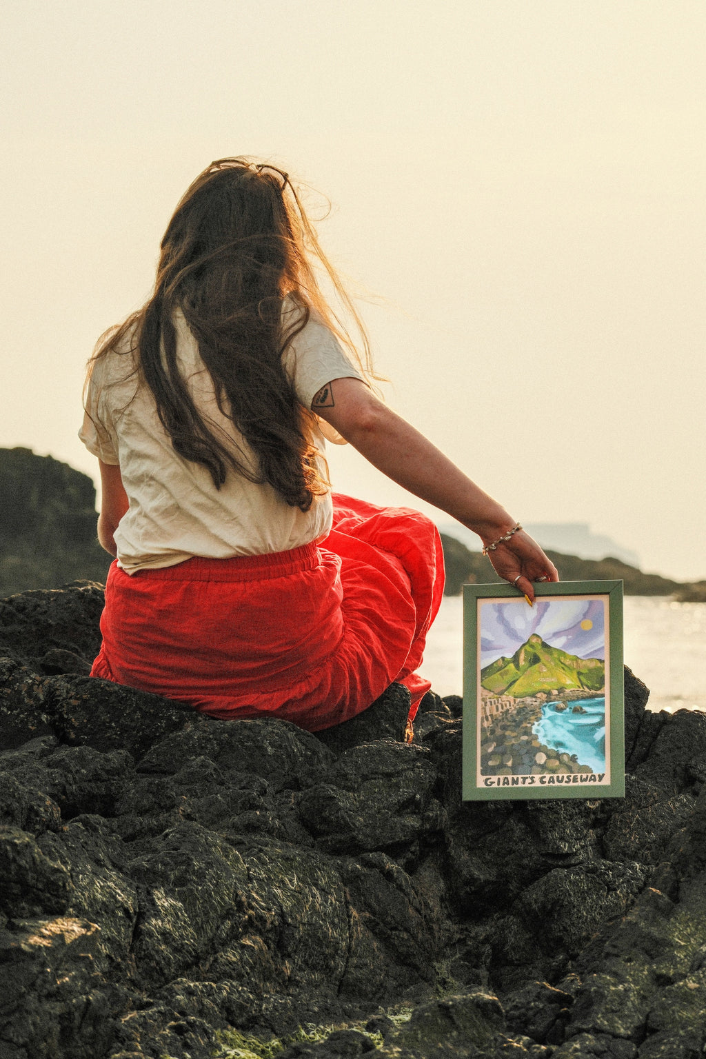 Giants Causeway Ireland Art Print