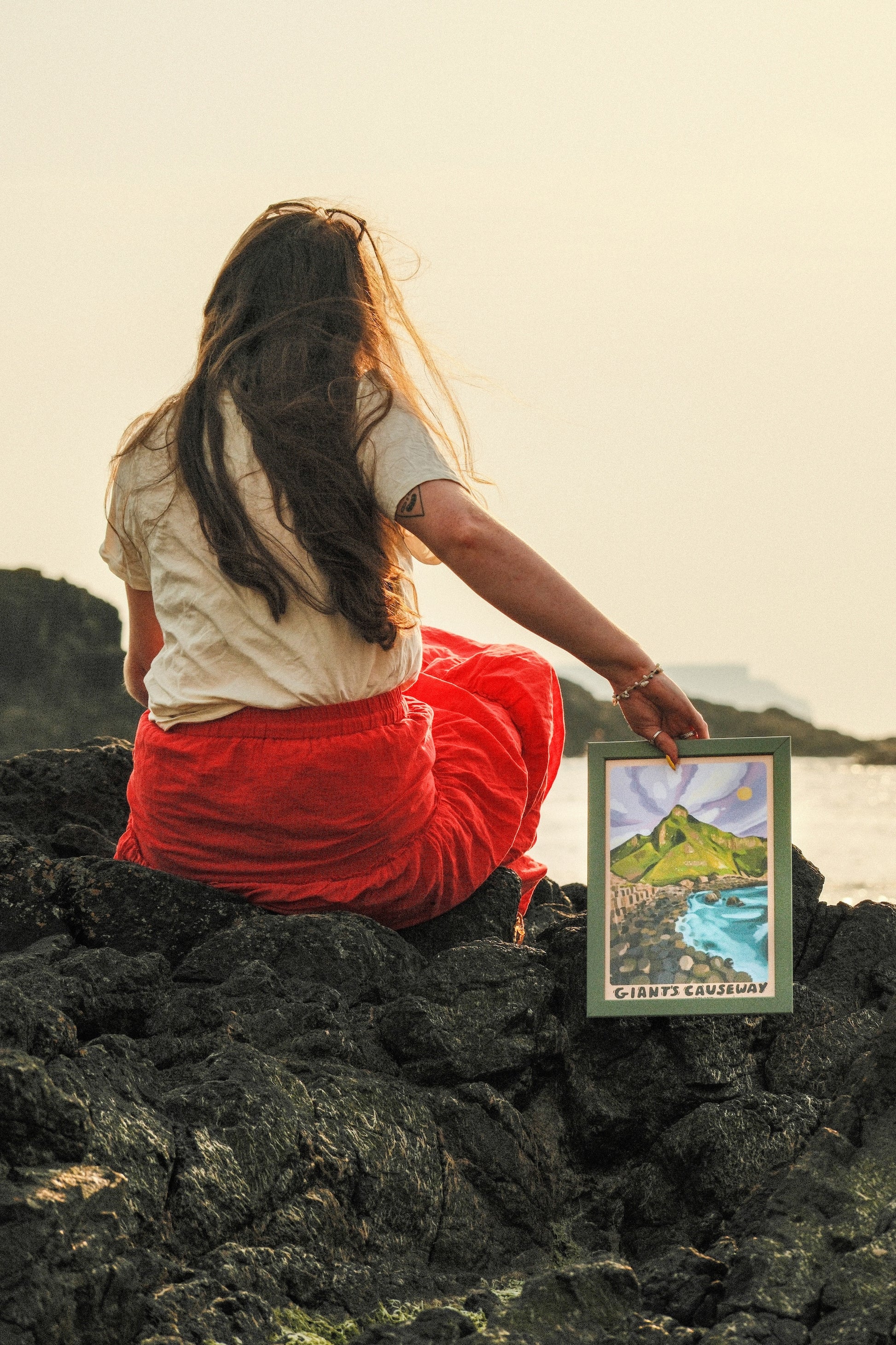 Giants Causeway Ireland Art Print
