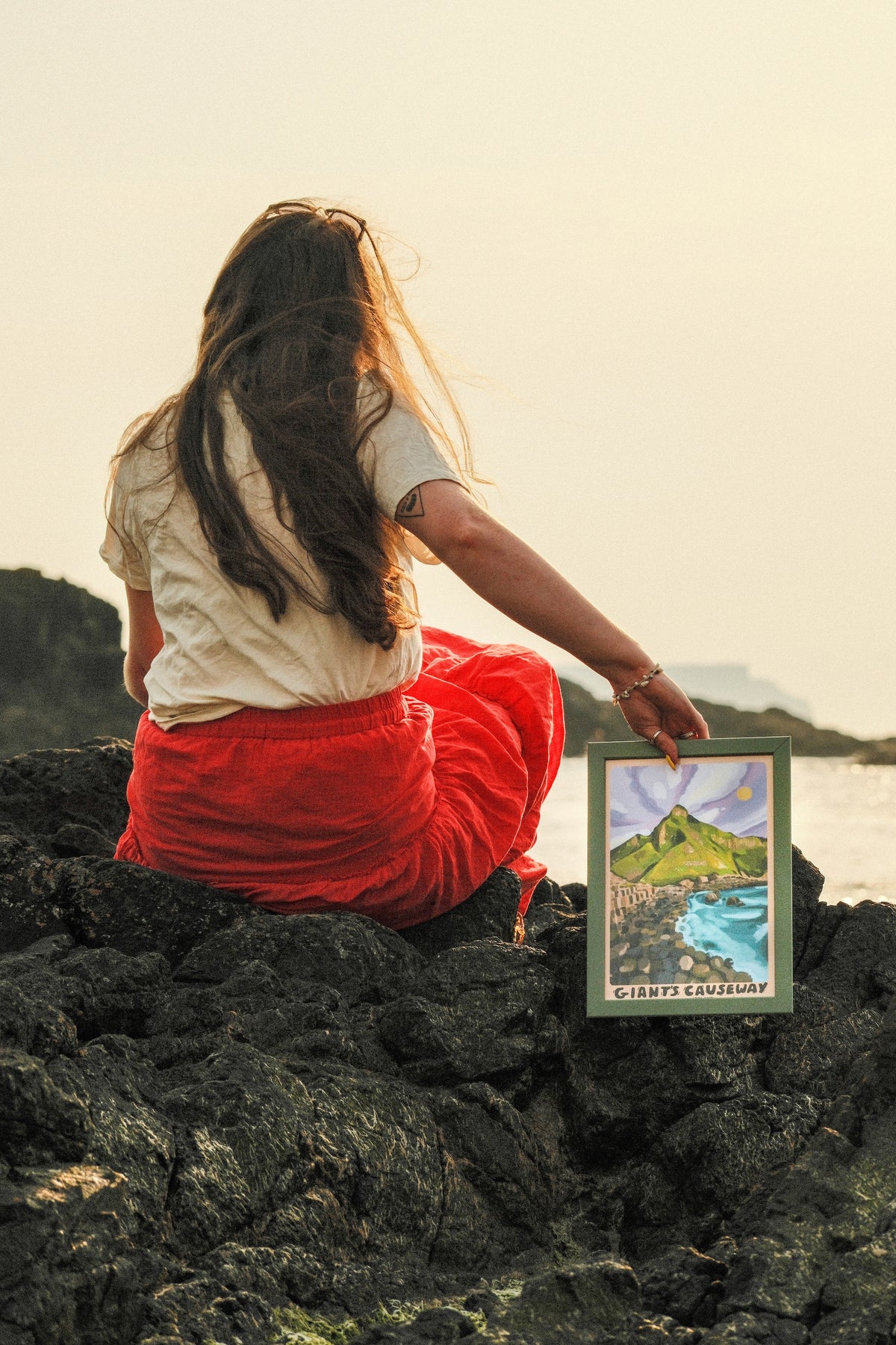 Giants Causeway Ireland Art Print